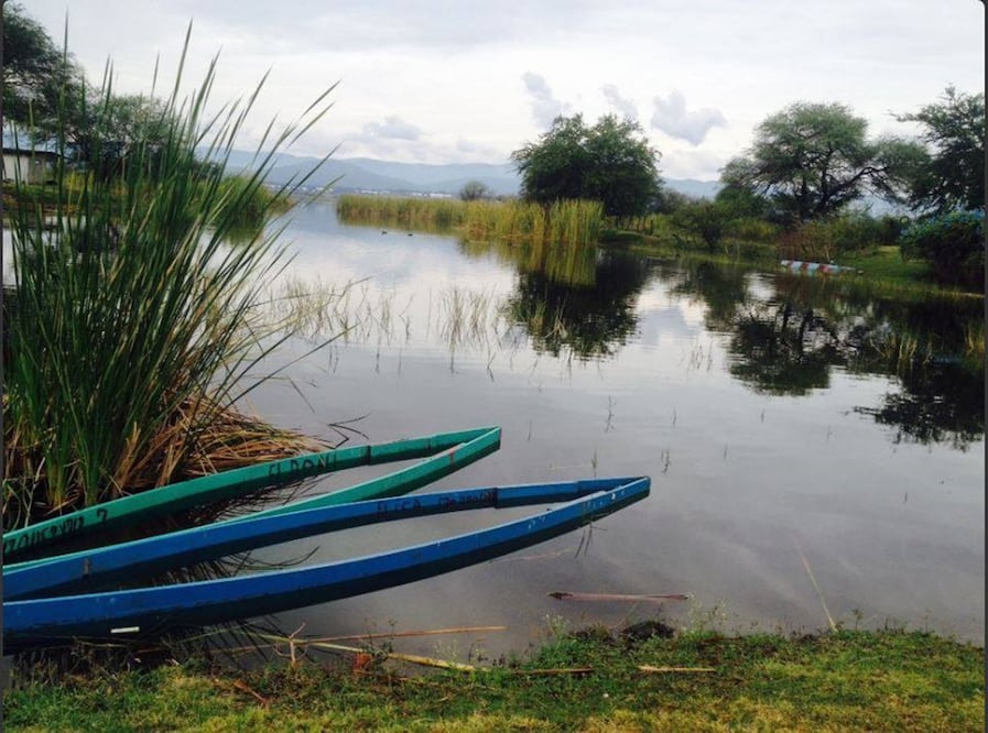 El 24 y 25 de noviembre serán los días en que podrás visitar esta feria de cultura y gastronomía ancestral (Crédito: Facebook / Feria Del Pescado Cultural y Artesanal de Coatetelco )