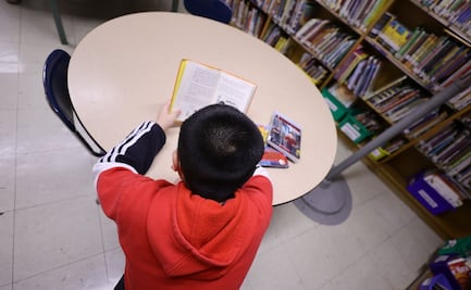 Niño de 8 años escribió un libro y lo coló en los estantes de una biblioteca; ahora hay lista de espera para leerlo