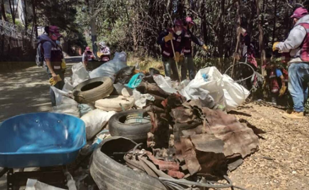 Las actividades de rescate ambiental se realizan de lunes a viernes de 7:00 a 12:00 horas