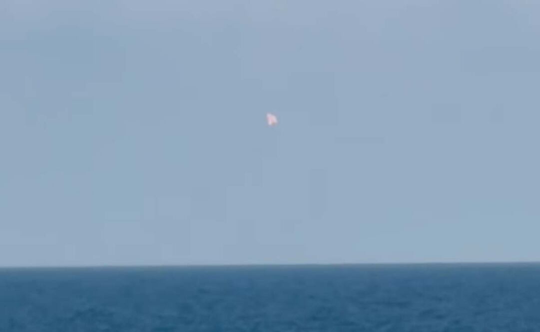 Foto: Captura de pantalla
Conibio Global A.C