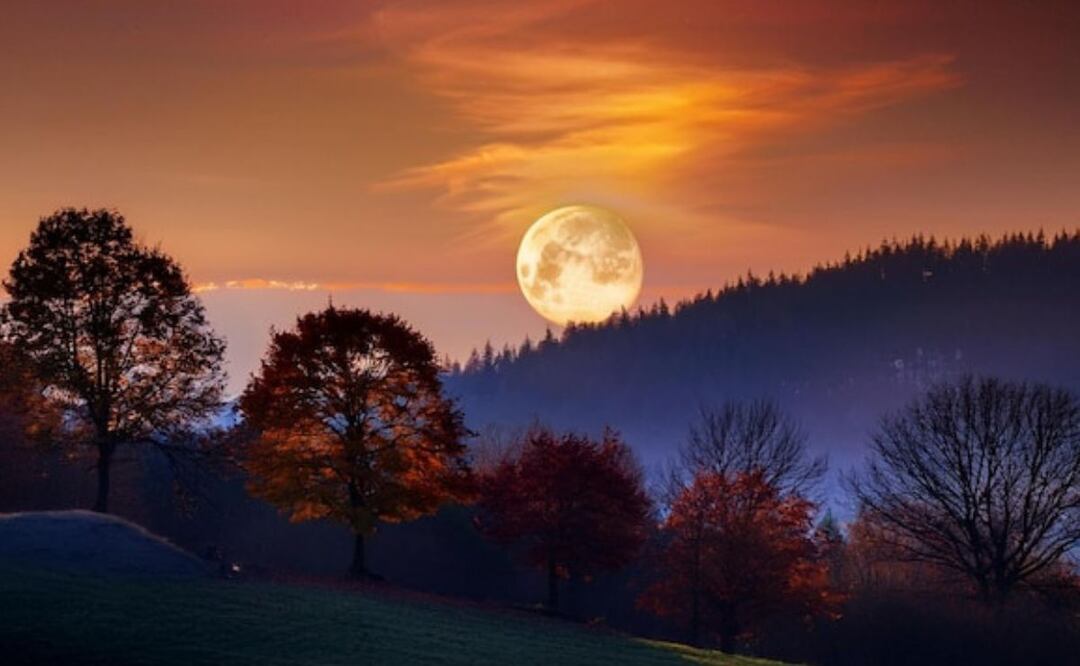 La Luna sigue siendo un campo de oportunidades tanto para la ciencia como para la humanidad. Fuente: Freepik.