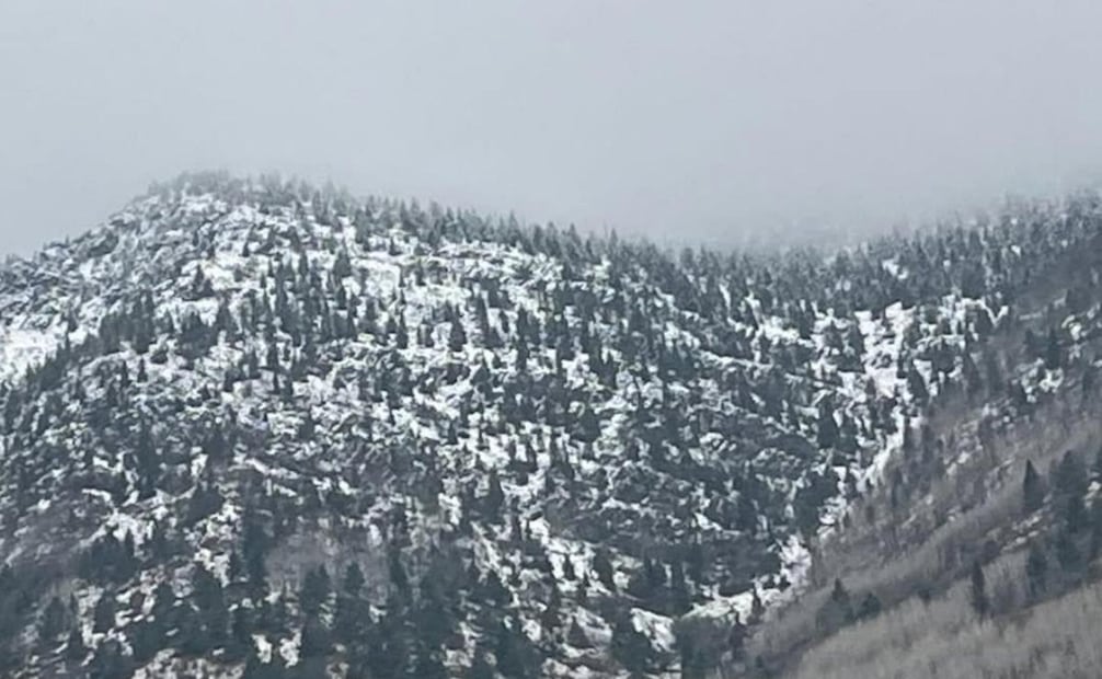 Caída de nieve en Galeana, Nuevo León (11/01/2026). Foto: @samuel_garcias