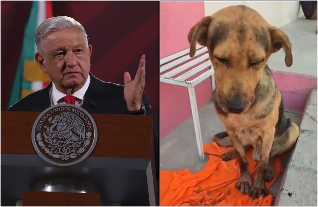 FOTO: Berenice Fregoso y Archivo/ EL UNIVERSAL/