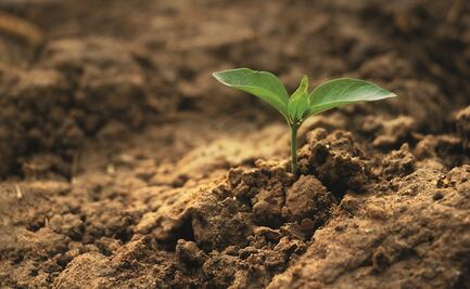 En marcha, una nueva interpretación de la vida