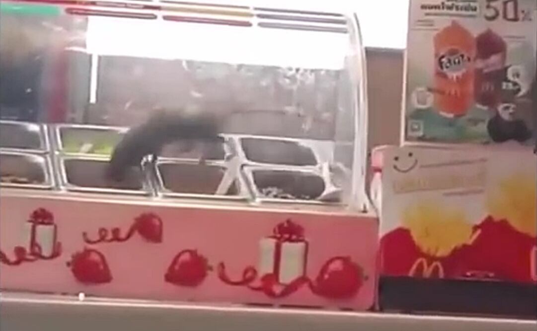 Foto: Tomada de YouTube