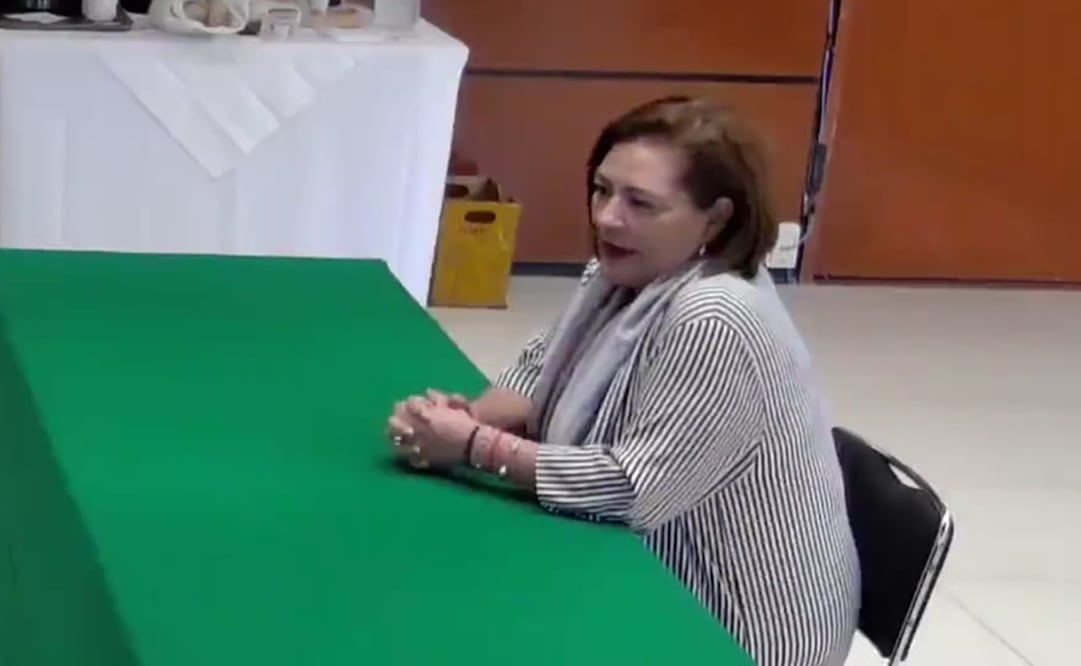 Guadalupe Taddei, consejera presidenta electa del INE. Foto: captura de pantalla