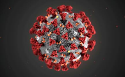 Lo que se sabe del nuevo coronavirus de Wuhan
