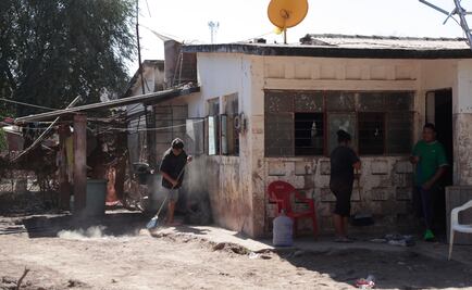 Damnificados por "Willa" siguen removiendo escombros; buscan refugio