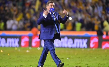 ¿Qué culpa tienen los perros?