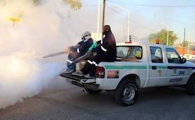 Baja California Sur suma 186 casos de dengue; Los Cabos concentra 74 contagios