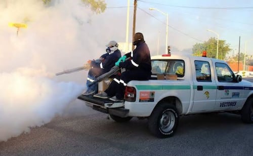 Baja California Sur reports 186 dengue cases; Los Cabos leads with 74