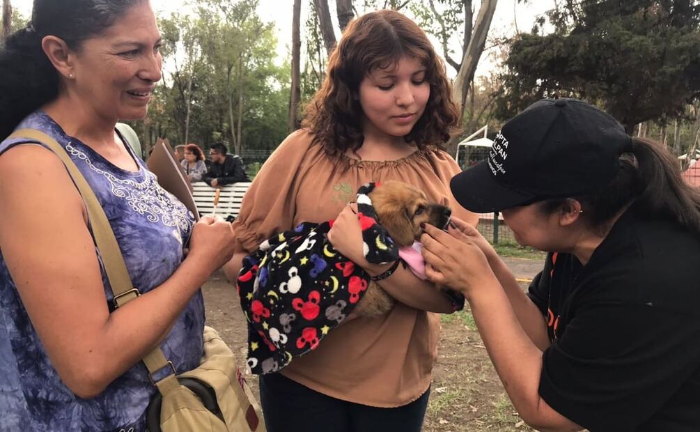 Maya fue adptada por Yaretzi quien afirmó que quiere darle mucho amor a la mascota que logró adoptar este domingo en el Parque Naucalli. Foto: Especial
