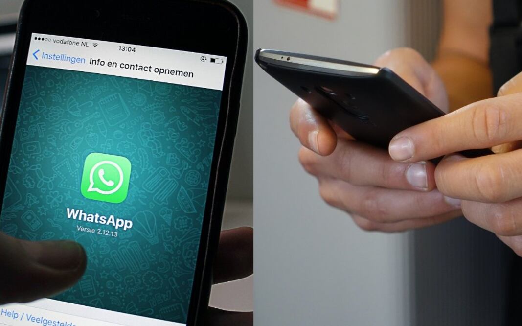 De manera fácil y sencilla podrás hacerlo, sigue las recomendaciones / Foto: Pixabay