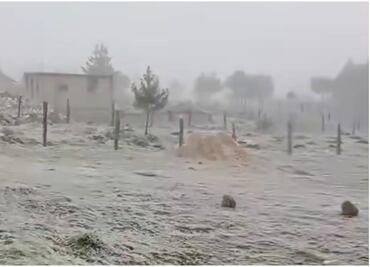 Veracruz registra cencelladas, caída de aguanieve y fuertes vientos por Frente Frío 24; suspenden clases para el miércoles 22 de enero