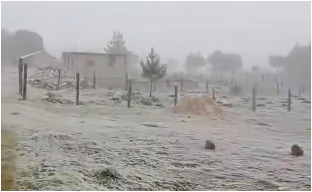 El paso del Frente Frío número 24 en Veracruz ha dejado la presencia de cencelladas, nevadas y fuertes vientos con rachas máximas de 118 kilómetros por hora (21/01/2025). Foto: Especial