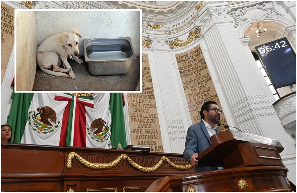 FOTO: Archivo y Especial/ EL UNIVERSAL/