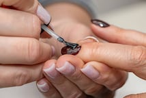 Colores que lucen bien en uñas cortas