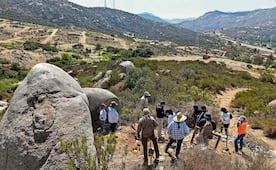 Tecate, donde el crimen arrebata a los menores; aumentan reportes de desaparición infantil, alertan colectivos