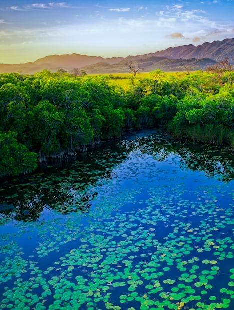 Laguna El Cacahuate, en río San Pedro Martir River, Tabasco. Crédito fotografía: Octavio Aburto