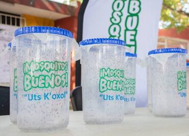 Investigadores de Yucatán y EEUU analizan efectividad de fumigación contra el mosco transmisor de dengue