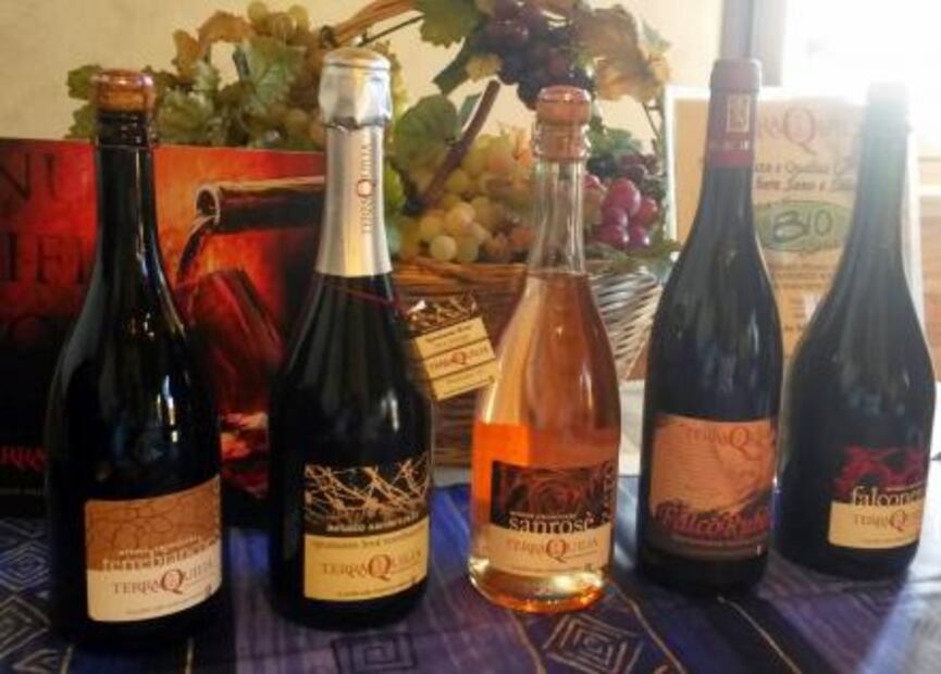 Lambrusco, el vino italiano más vendido en el mundo