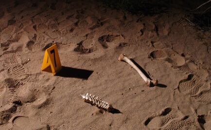 Localizan dos cuerpos dentro de fosa clandestina en Jalisco