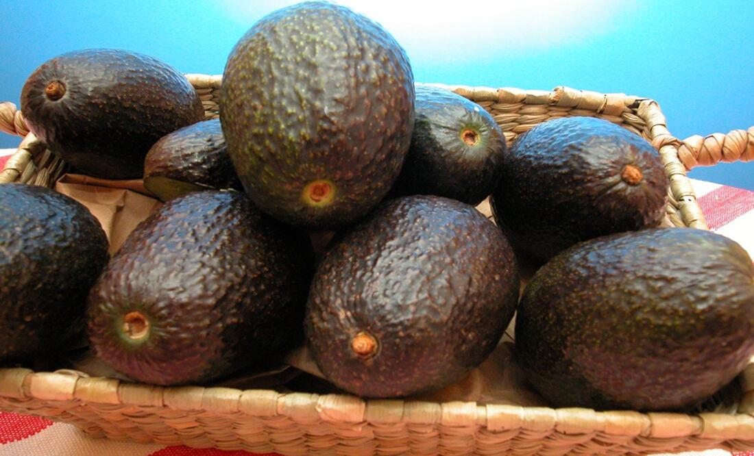 El aguacate es un alimento plagado de nutrientes y beneficios para la salud. Foto: Archivo El Universal