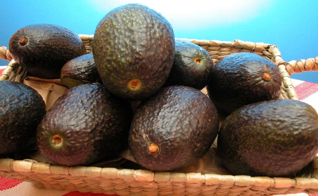 El aguacate es un alimento plagado de nutrientes y beneficios para la salud. Foto: Archivo El Universal