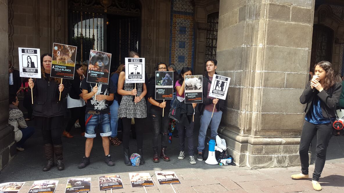 Sandra Hernández / EL UNIVERSAL