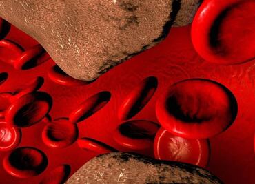 ¿Qué tan dañino o necesario es el colesterol en nuestro cuerpo?