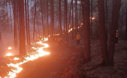 Conafor pronostica intensa temporada de incendios; gobierno de México alista 14 mil combatientes para atender incidentes 