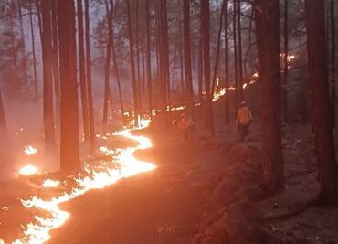 Siguen activos 8 incendios forestales en la Sierra Tarahumara de Chihuahua