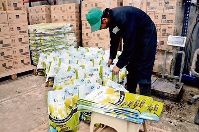 Constituidas, 3 mil 800 empresas exprés en 2017