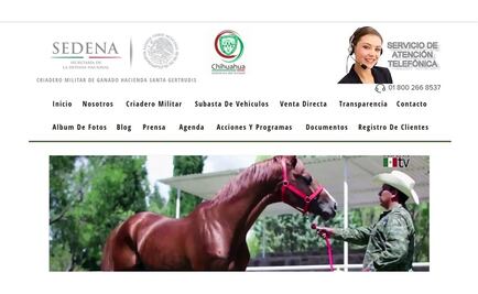 ​Detecta Sedena cuentas falsas y sitios de internet apócrifos