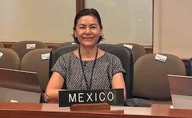 Lilia Mónica López es recomendada por la ONU para integrar Grupo sobre Detención Arbitraria; compite con 16 candidaturas en AL