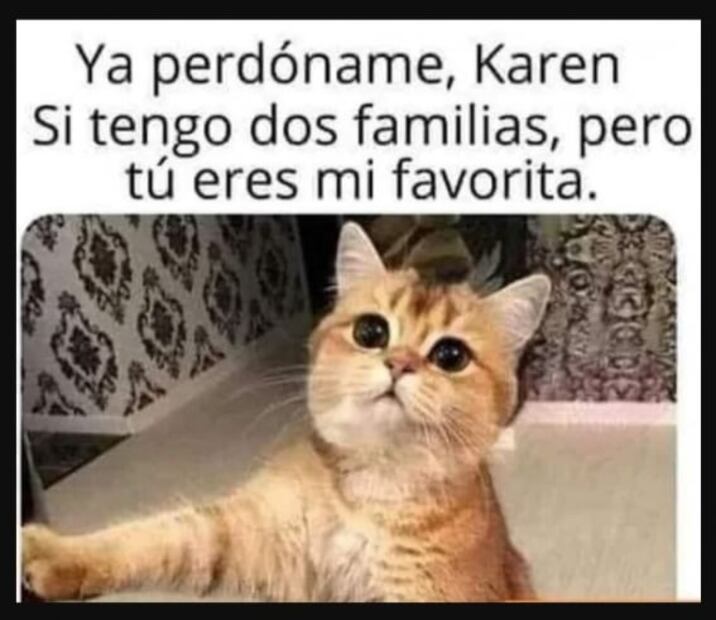 Celebra el día de la enfermera y enfermero con memes