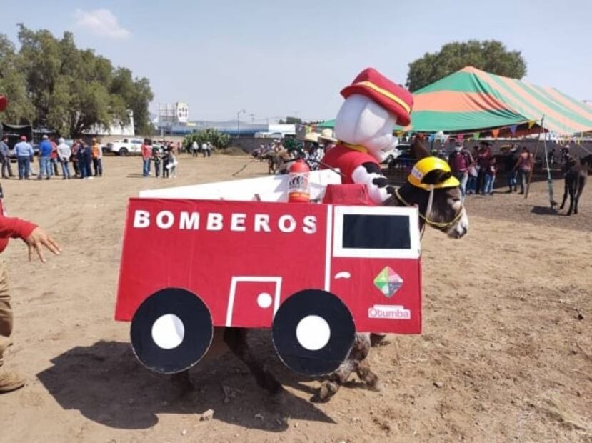 “El burro apache” triunfa en Feria Nacional del Burro en Otumba