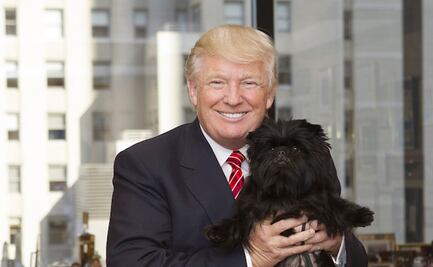 Este es el plan de Donald Trump para llevar 500 perros de China a Estados Unidos
