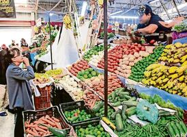 PACIC logra reducir 4.9% el costo de la canasta básica; se mantiene debajo del precio máximo establecido: Profeco 