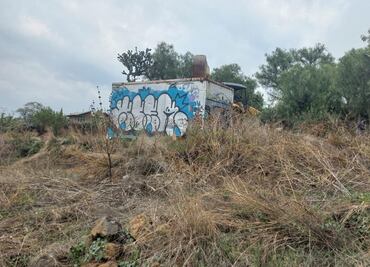 Recuperan hectáreas de suelo de conservación invadidas en San Gregorio Atlapulco, Xochimilco