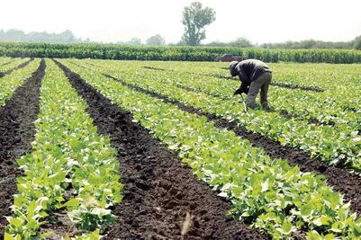 Fondo único para el agro impedirá la corrupción