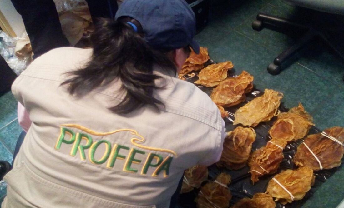 Foto: Archivo/ EL UNIVERSAL