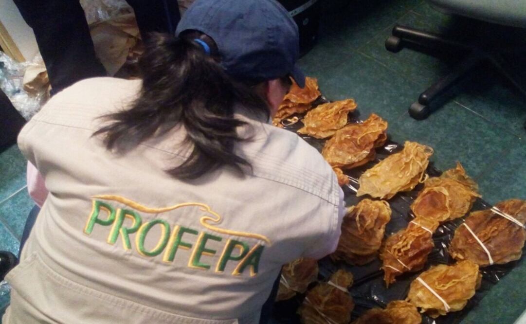 Foto: Archivo/ EL UNIVERSAL