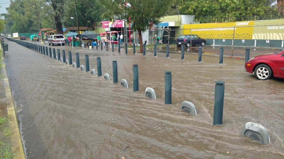 Foto: Carlos Ángel Arrieta/ EL UNIVERSAL