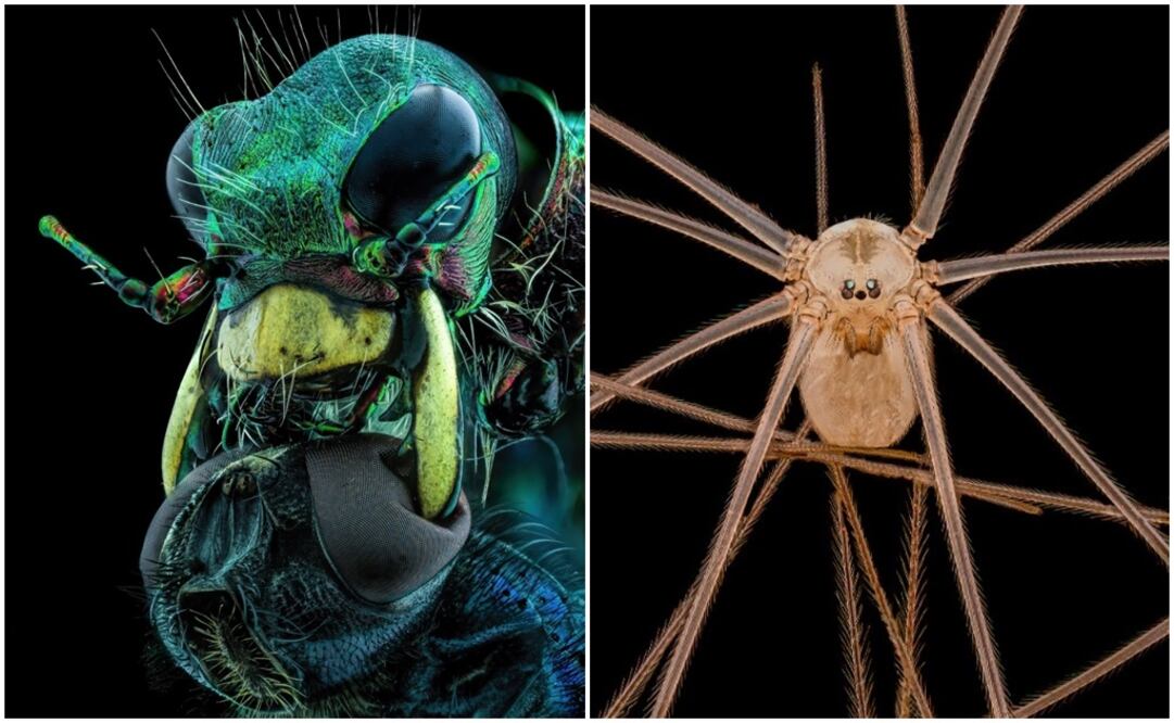 Foto: Murat Öztürk y Andrew Posselt