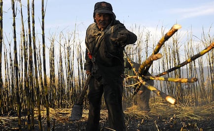 Juicio de amparo posterga venta de plantas azucareras