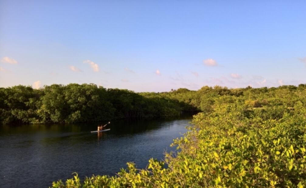 8 hoteles, haciendas y glampings que tienen su propio cenote