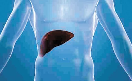 Crean hígado bioartificial para tratar insuficiencia hepática