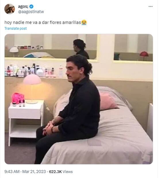 Meme flores amarillas. Foto: Redes Sociales