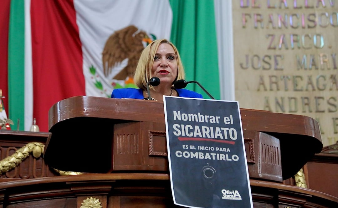 Diputada del PAN propone que se incluya en el Código Penal la figura de sicario; busca que se reconozca como crimen especializado. Foto: Especial
